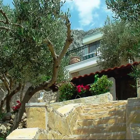 Villa Amare - Cdm05037-o *